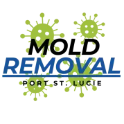 Mold Removal Port St. Lucie