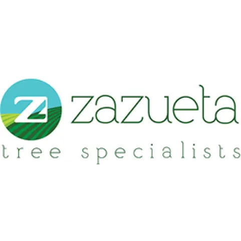 ZAZUETA TREE SPECIALISTS