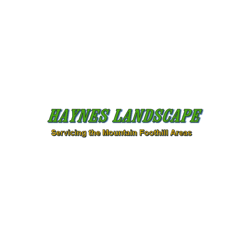 HAYNES LANDSCAPE