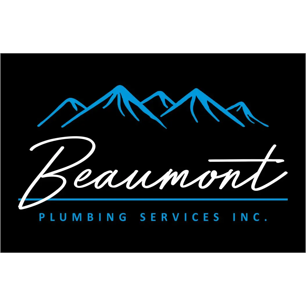 BEAUMONT PLUMBING SERVICES INC