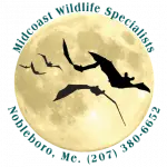 Midcoast Wildlife Specialists