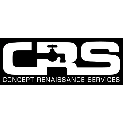 CONCEPT RENAISSANCE SERVICES LLC