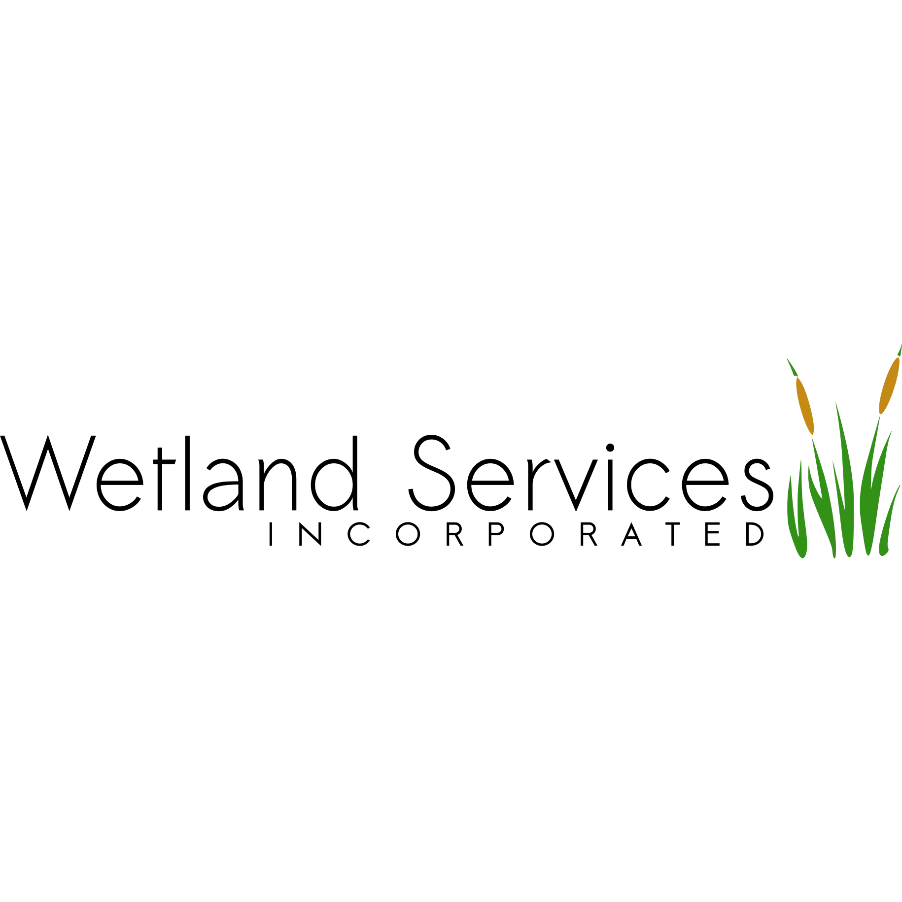 WETLAND SERVICES INC