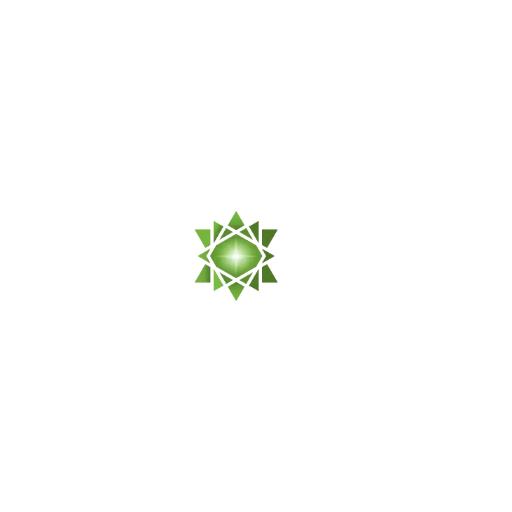 Starr Energy LLC