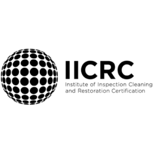 County Services, Inc