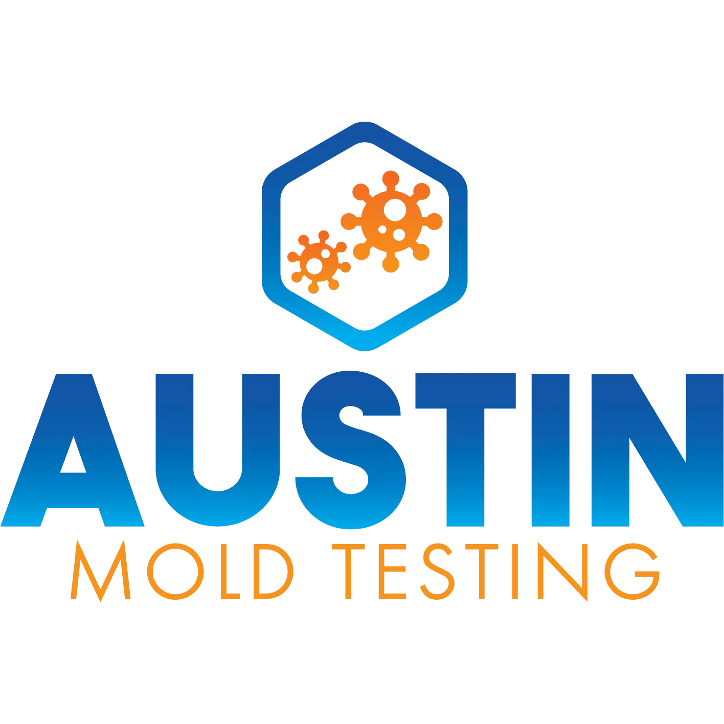 Austin Mold Testing