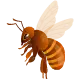 Super Bee Rescue