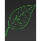 Nature's Enhancement Inc