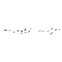 STONE ALLY INC