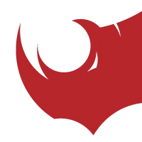Rhino Rooter Inc.