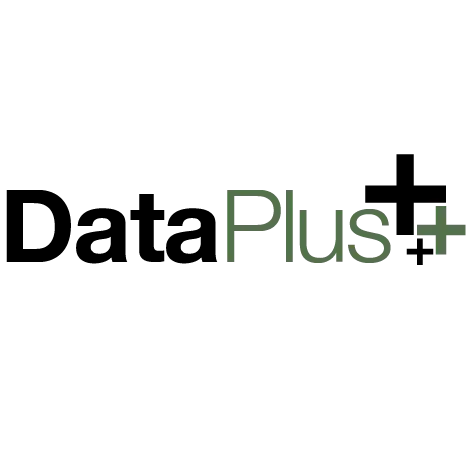 DATA PLUS SECURITY LLC