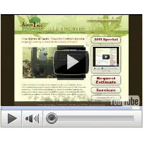 Austin Tree Experts