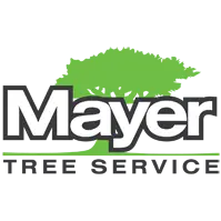 MAYER TREE INC