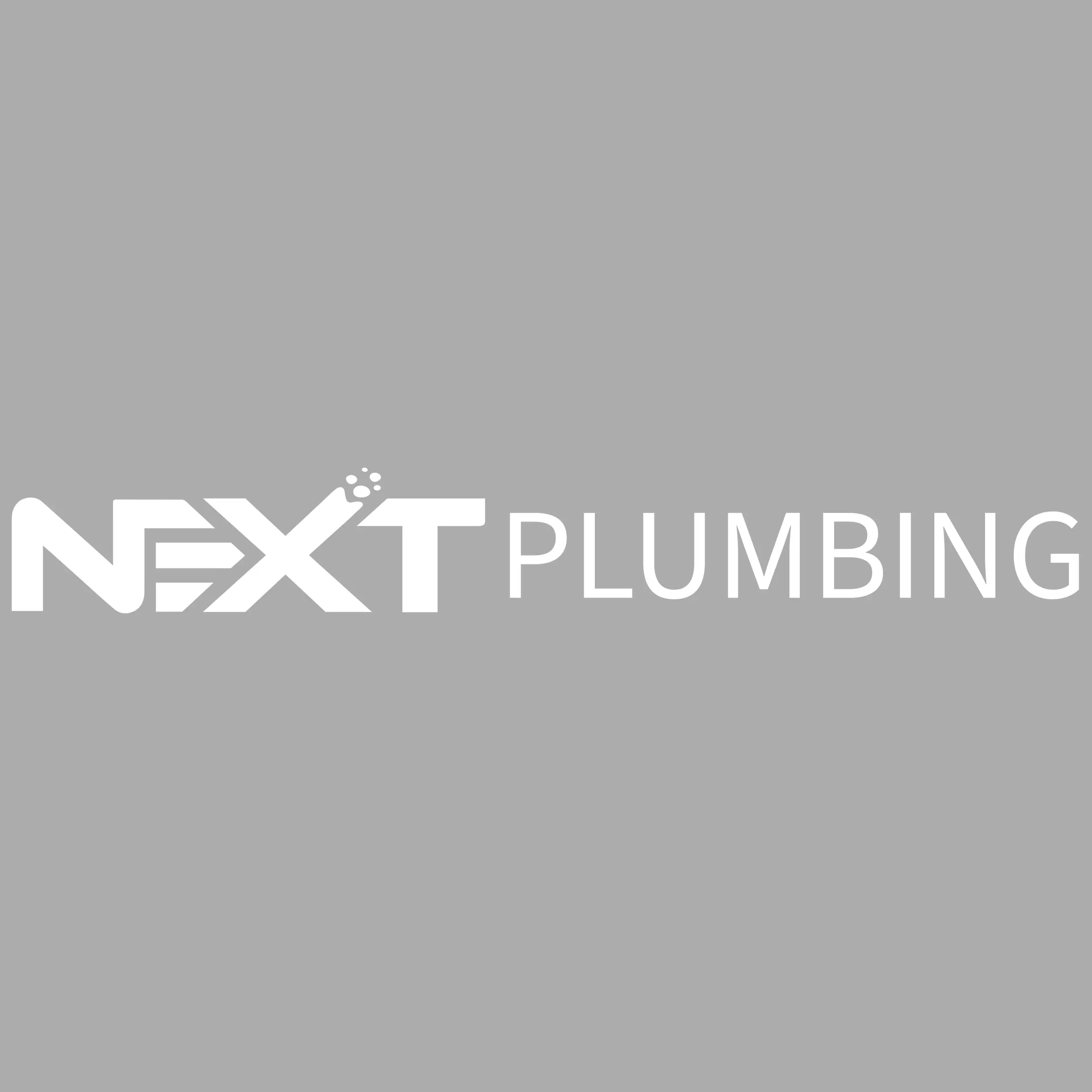 Next Plumbing LLC