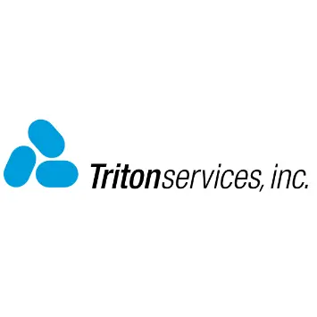 TRITON SERVICES INC