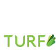Always Green Turf