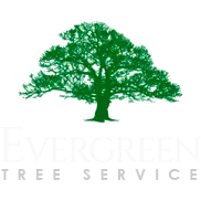 Evergreen Tree Service