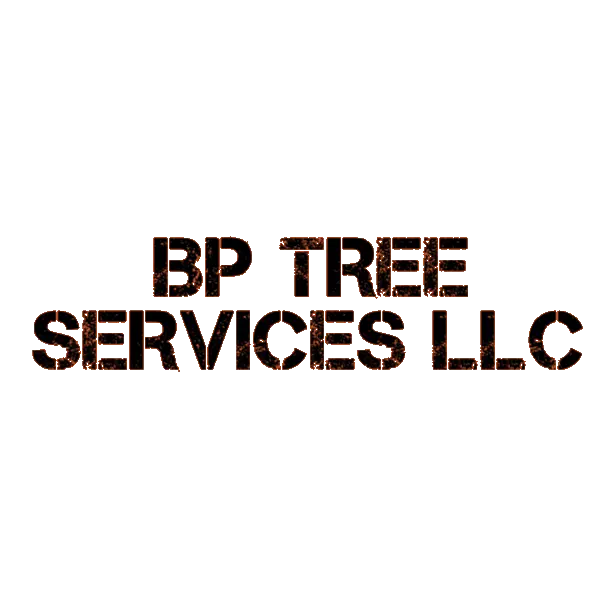 BP TREE SERVICES LLC