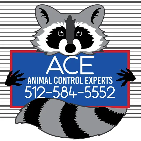 Animal Control Experts