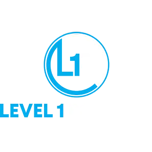 LEVEL 1 ROOFING