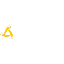 AMPIRICAL  SOLUTIONS, L.L.C.