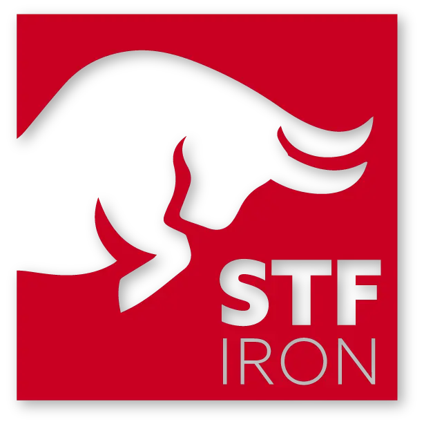 STF IRON INC