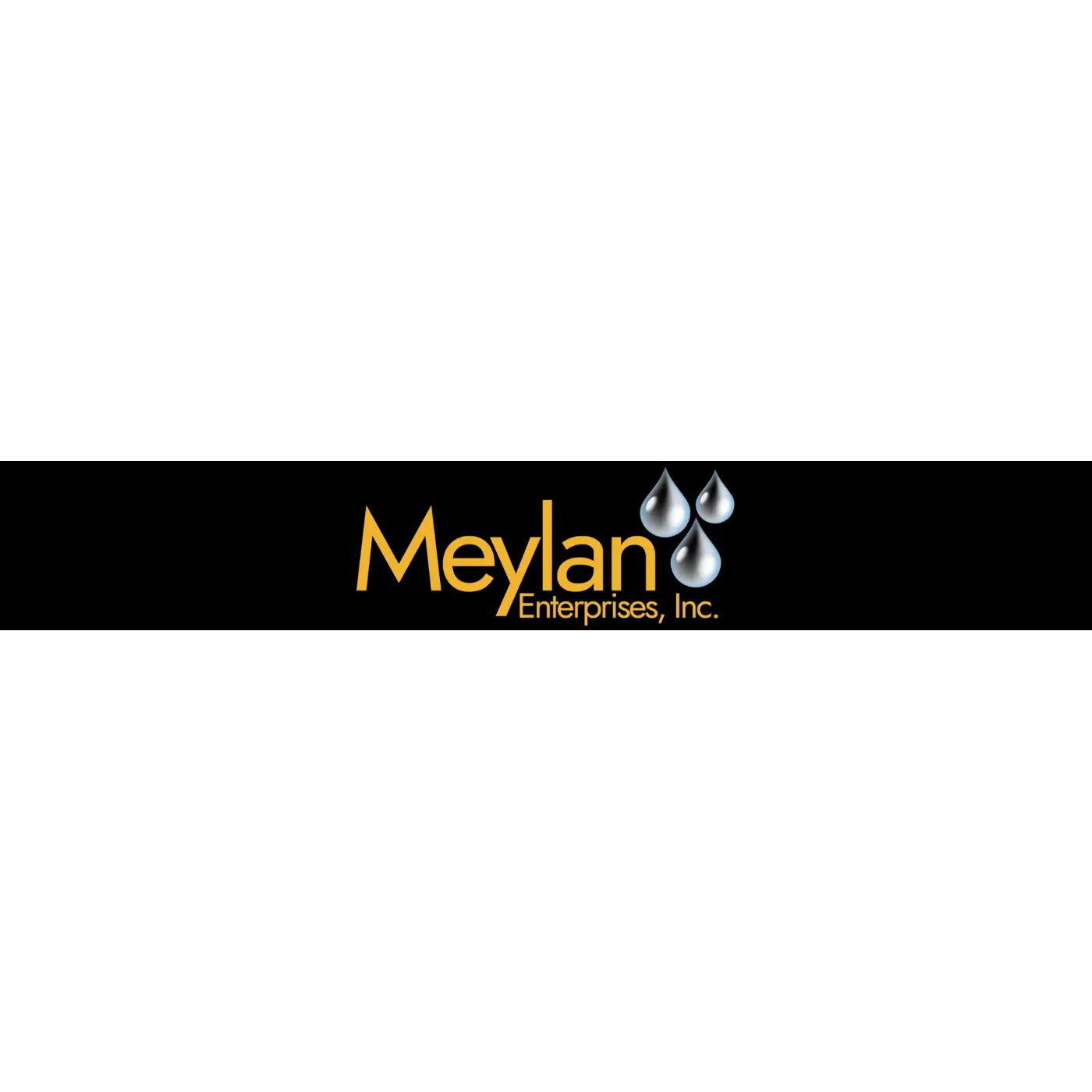 MEYLAN ENTERPRISES INC