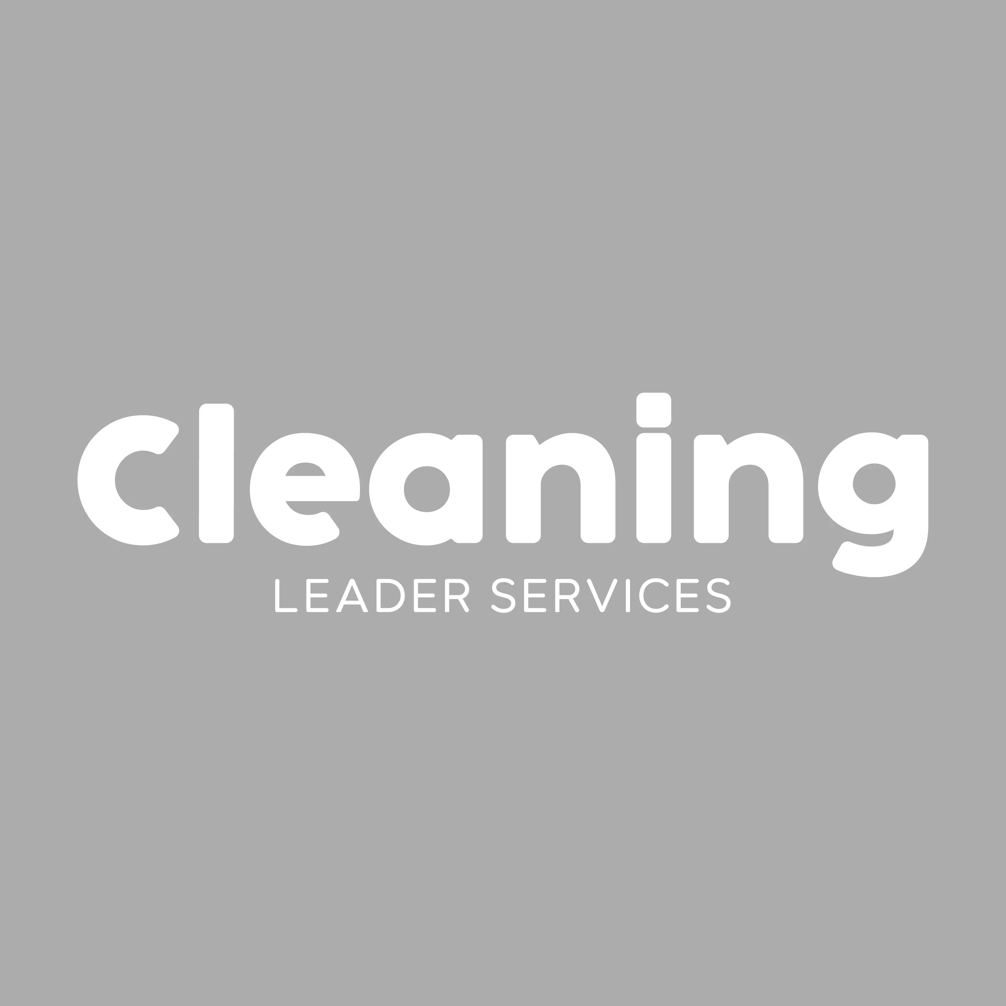 Cleaning Leader Services