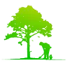 EMMA TREE SERVICE