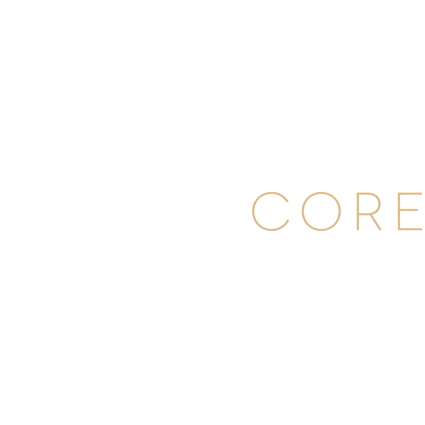 EMPIRE CORE GROUP LLC