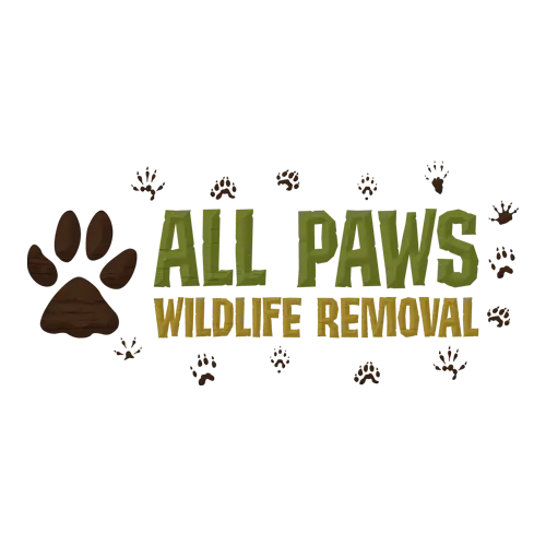All Paws Wildlife Removal, LLC