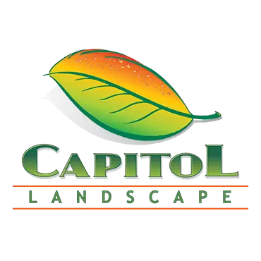 CAPITOL LANDSCAPE INC