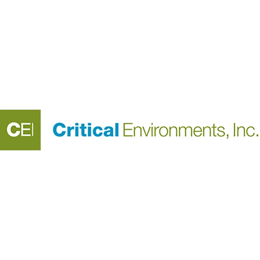 CRITICAL ENVIRONMENTS INC