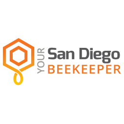 Your San Diego Beekeeper