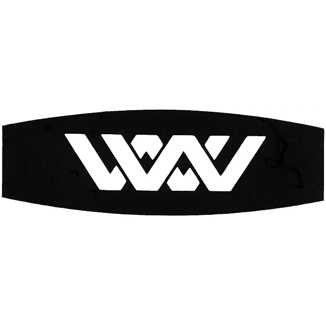 WESSON W P & CO INC