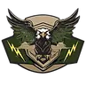 TACTICAL ELECTRIC LLC