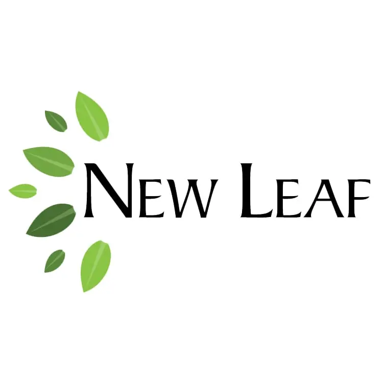 NEW LEAF CONSTRUCTION INC
