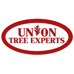 UNION TREE EXPERTS INC