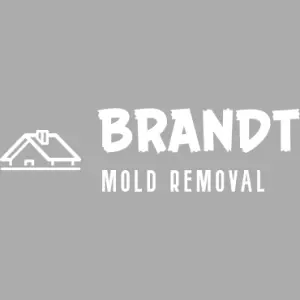 Brandt Mold Removal & Restoration