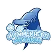 Hammerhead Roof & Structure Soft Wash, Inc.