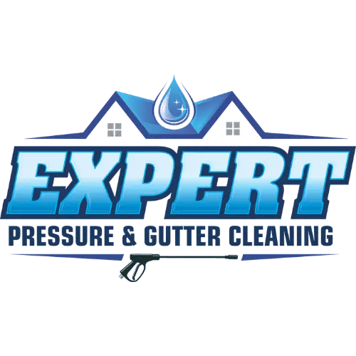 Expert Pressure and Gutter Cleaning