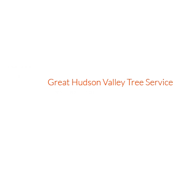 New York Tree Masters Inc.