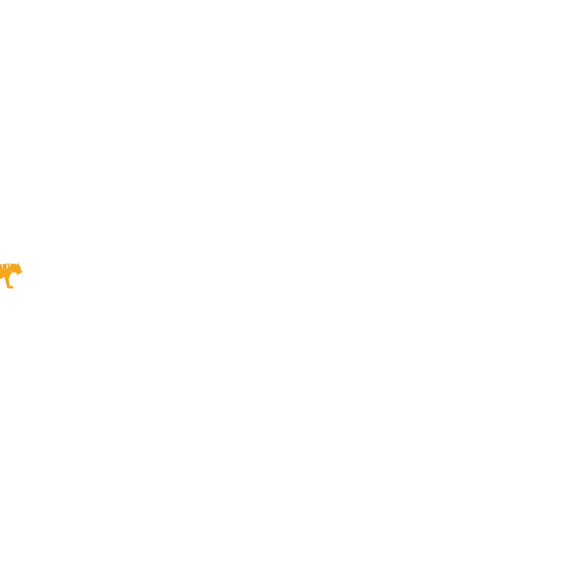 Tiger Air