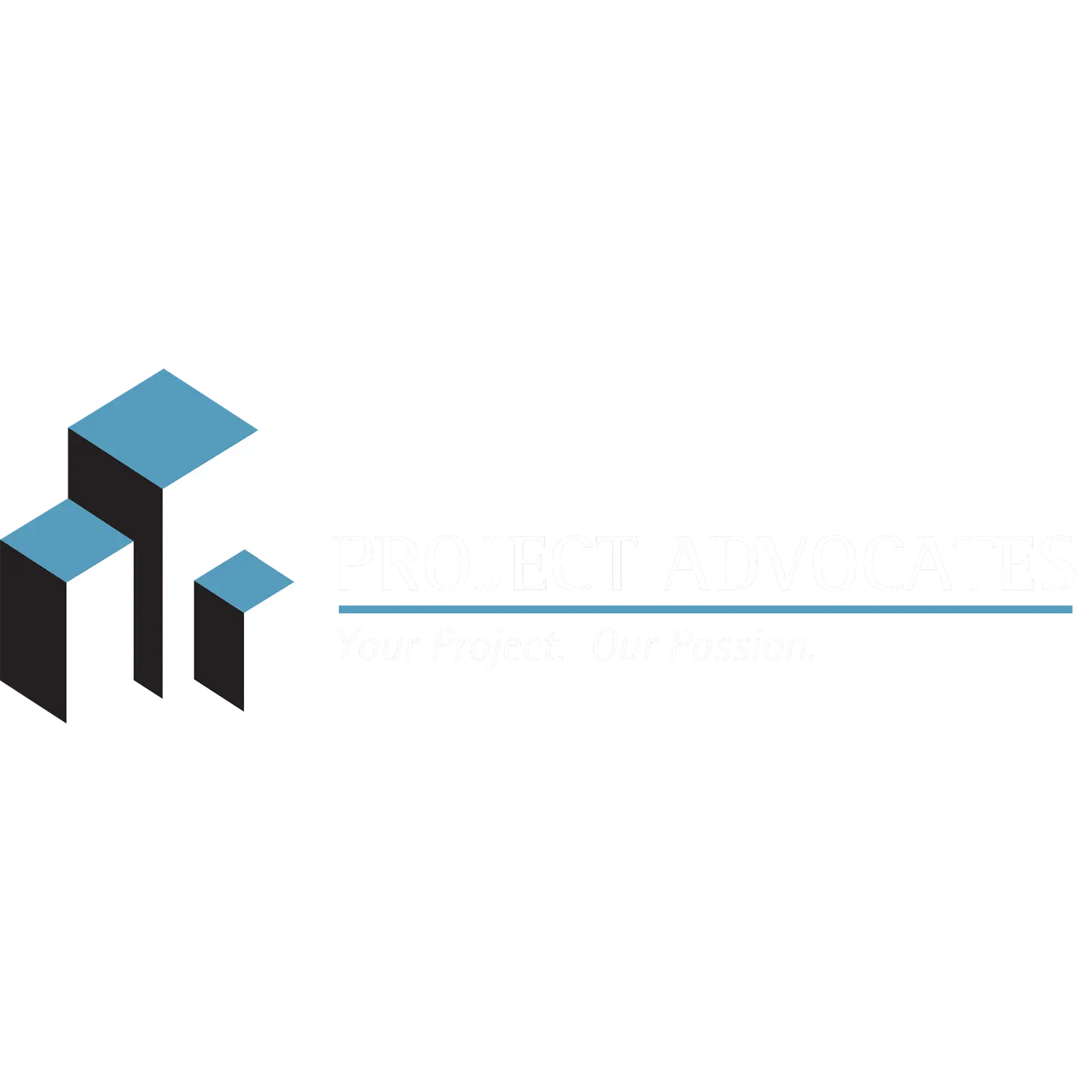 PROJECT ADVOCATES LLC