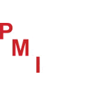 PRECISION INDUSTRIAL INSULATION LLC
