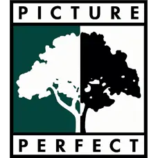 PICTURE PERFECT CONSTRUCTION INC