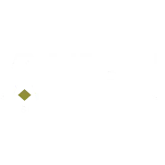Allied Consulting & Security Services