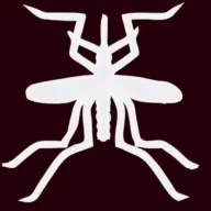 The Mosquito Fighters