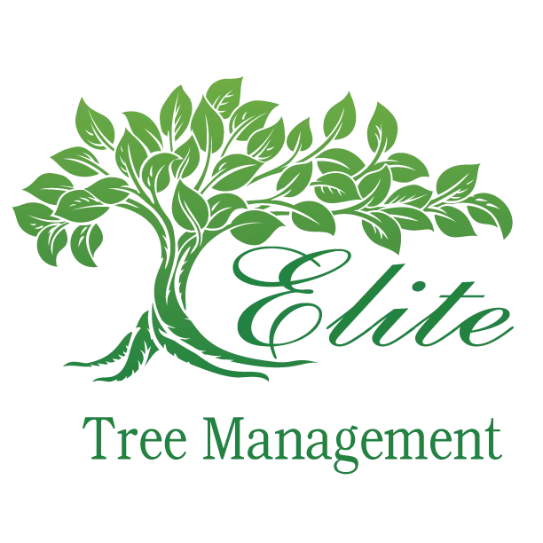Elite Tree Management