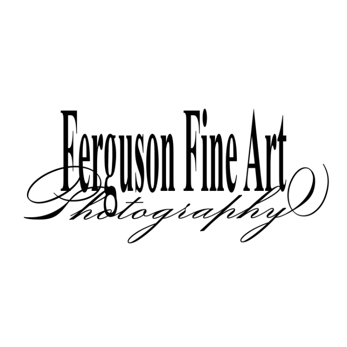 Ferguson Fine Art
